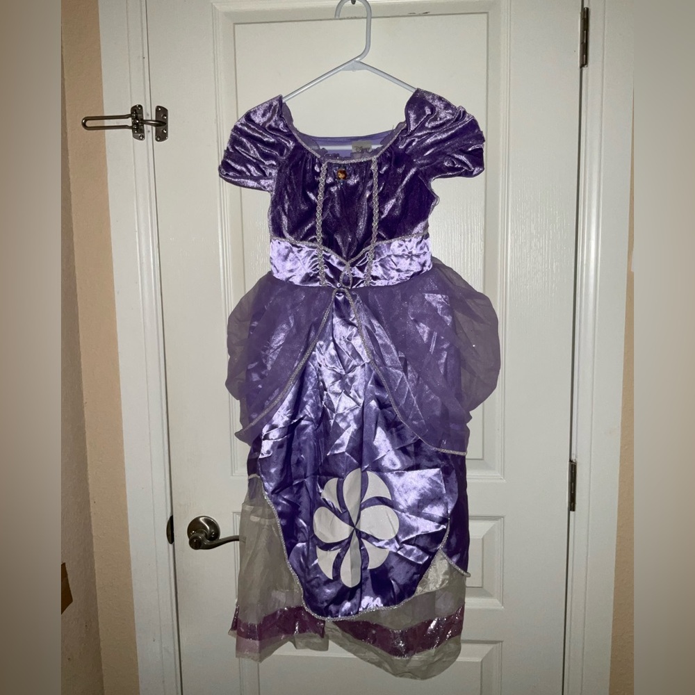 Princess Sofia the First Dress
